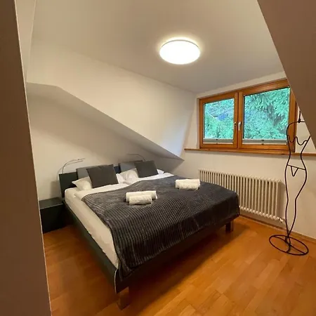 Apartment Undertheroof At