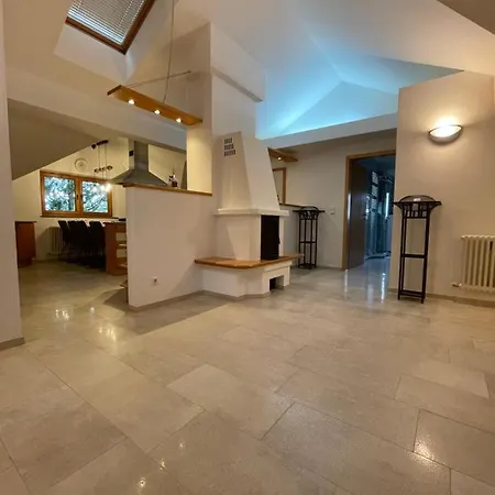 Apartment Undertheroof At Salzburg